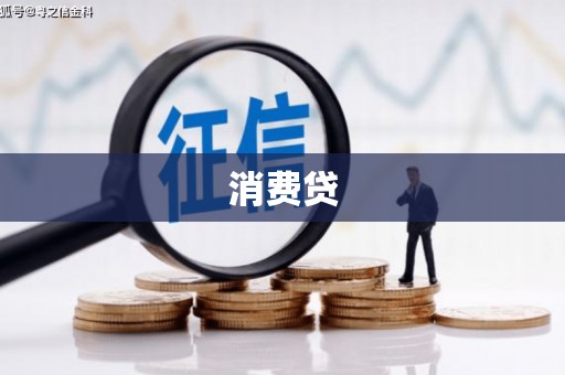 滨海消费贷