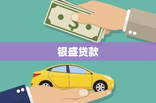 宁明银盛贷款