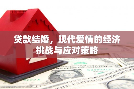 阳山贷款结婚，现代爱情的经济挑战与应对策略