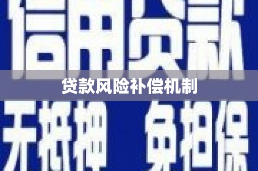 丽江贷款风险补偿机制