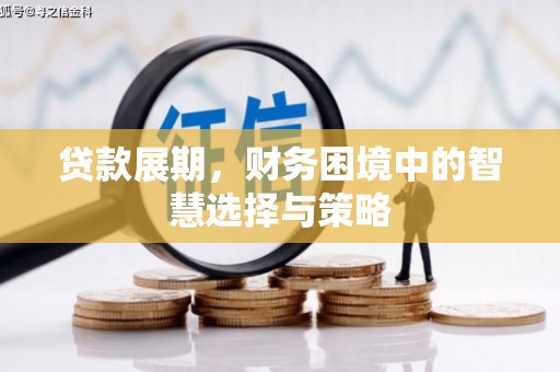 共和贷款展期，财务困境中的智慧选择与策略