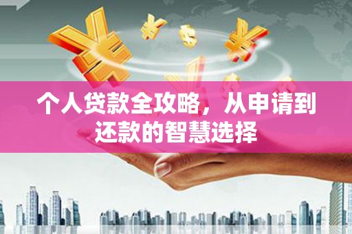 新县个人贷款全攻略，从申请到还款的智慧选择