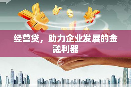 迪庆经营贷，助力企业发展的金融利器