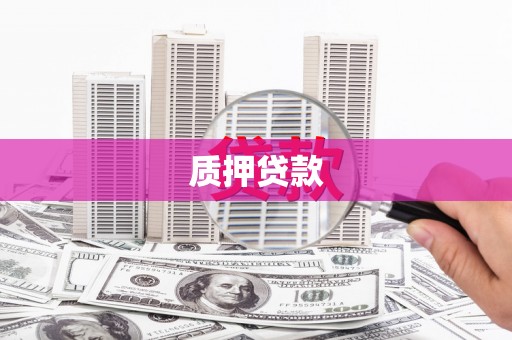 金寨质押贷款