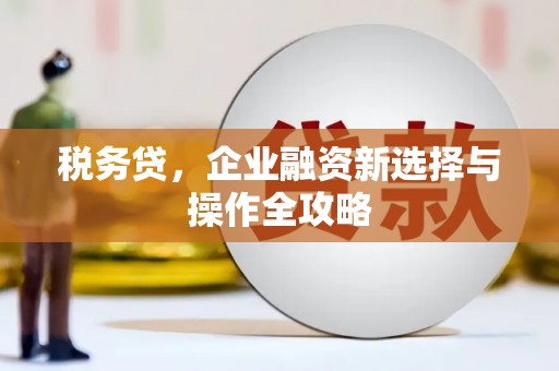 巩义税务贷，企业融资新选择与操作全攻略