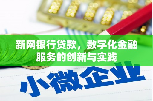 沿河新网银行贷款，数字化金融服务的创新与实践