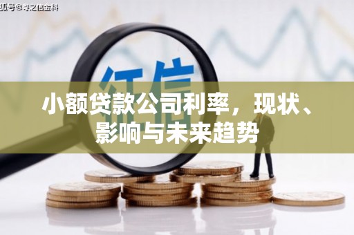 狮潭小额贷款公司利率，现状、影响与未来趋势