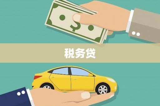 洋县税务贷
