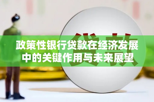 施甸政策性银行贷款在经济发展中的关键作用与未来展望