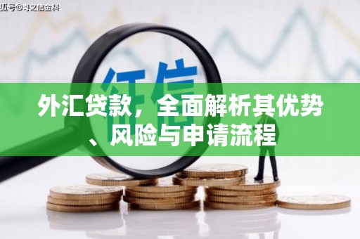 诸暨外汇贷款，全面解析其优势、风险与申请流程