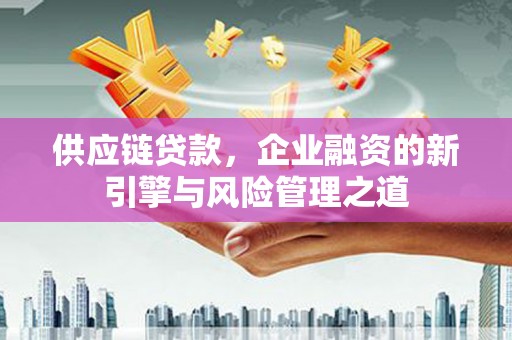玉山供应链贷款，企业融资的新引擎与风险管理之道