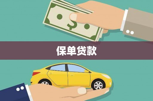 纳溪保单贷款