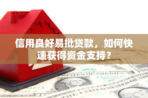 衡东信用良好易批贷款，如何快速获得资金支持？