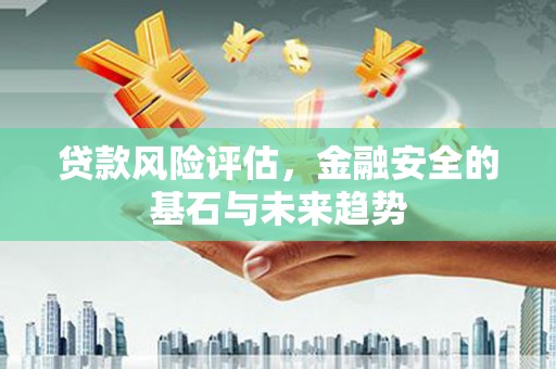 利辛贷款风险评估，金融安全的基石与未来趋势
