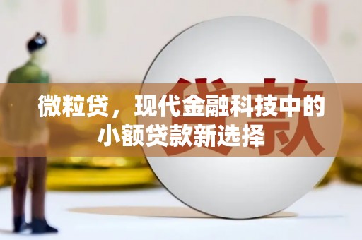 万峦微粒贷，现代金融科技中的小额贷款新选择