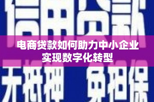 且末电商贷款如何助力中小企业实现数字化转型