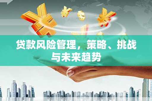 佳冬贷款风险管理，策略、挑战与未来趋势