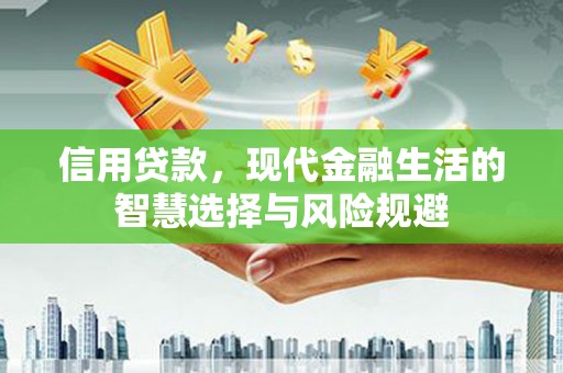 泉山信用贷款，现代金融生活的智慧选择与风险规避