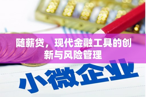 儋州随薪贷，现代金融工具的创新与风险管理