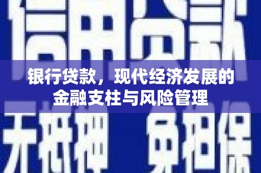 邵阳县银行贷款，现代经济发展的金融支柱与风险管理