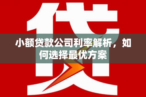 山上小额贷款公司利率解析，如何选择最优方案