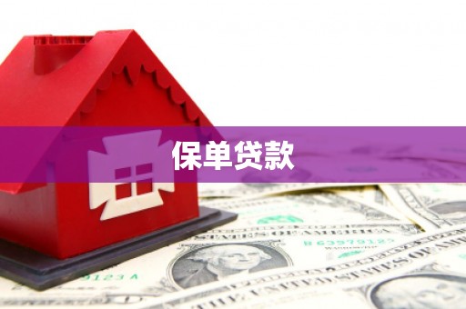 大名保单贷款