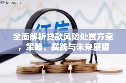 黄陂全面解析贷款风险处置方案，策略、实践与未来展望