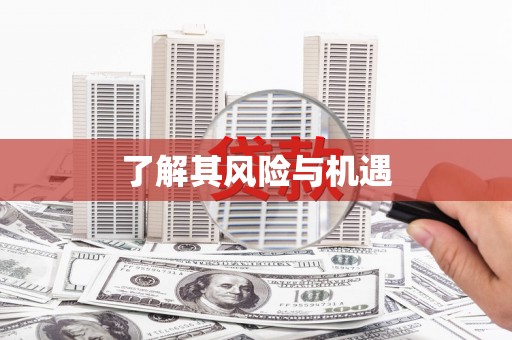 海东了解其风险与机遇