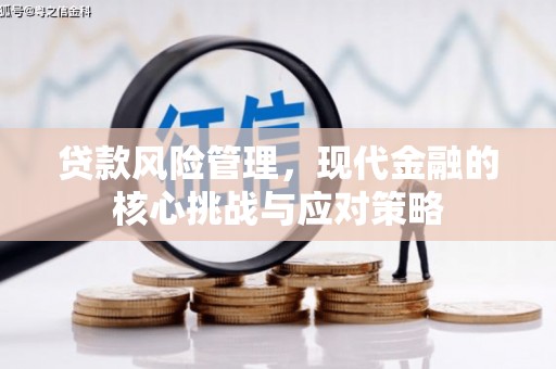 潍城贷款风险管理，现代金融的核心挑战与应对策略