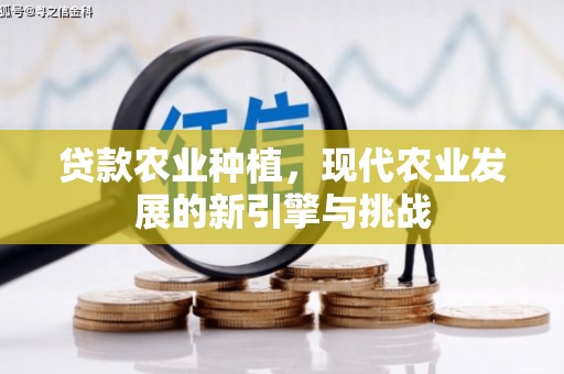 美溪贷款农业种植，现代农业发展的新引擎与挑战