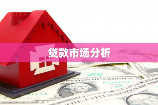 安南贷款市场分析