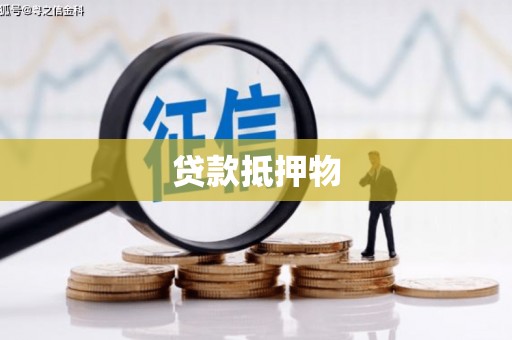 福贡贷款抵押物