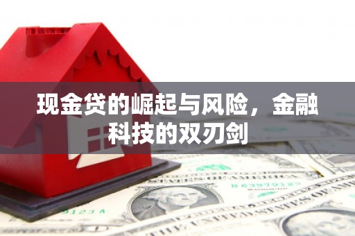 盐源现金贷的崛起与风险，金融科技的双刃剑