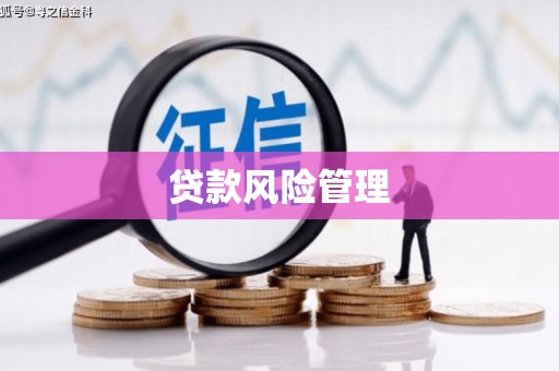 乾安贷款风险管理