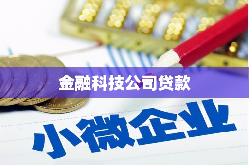 项城金融科技公司贷款