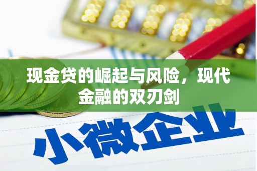 中卫现金贷的崛起与风险，现代金融的双刃剑