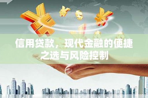 武川信用贷款，现代金融的便捷之选与风险控制