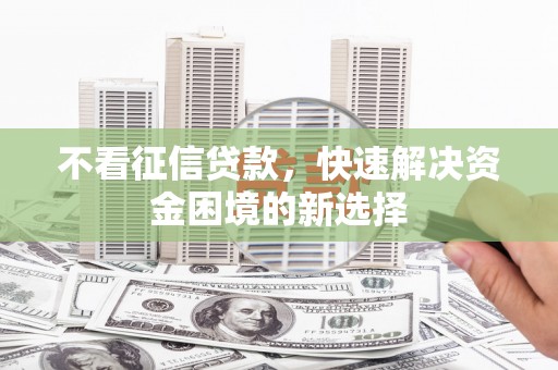 海盐不看征信贷款，快速解决资金困境的新选择