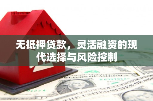 江海无抵押贷款，灵活融资的现代选择与风险控制