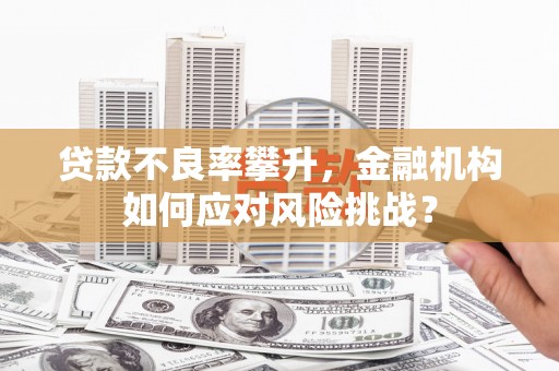 苏尼特右旗贷款不良率攀升，金融机构如何应对风险挑战？