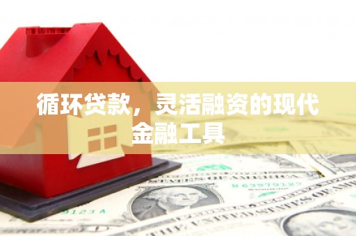 印江循环贷款，灵活融资的现代金融工具