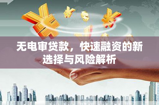 沈丘无电审贷款，快速融资的新选择与风险解析
