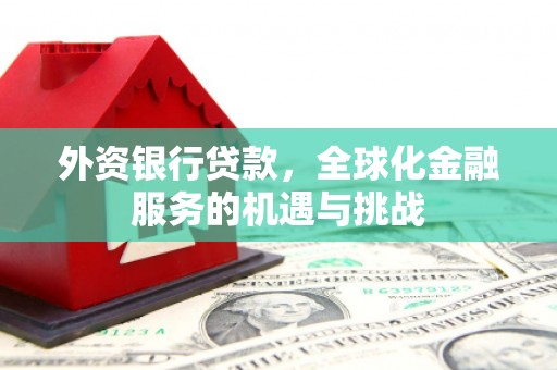 临湘外资银行贷款，全球化金融服务的机遇与挑战