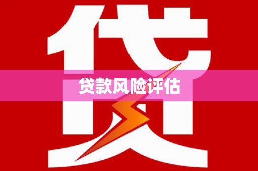 江海贷款风险评估
