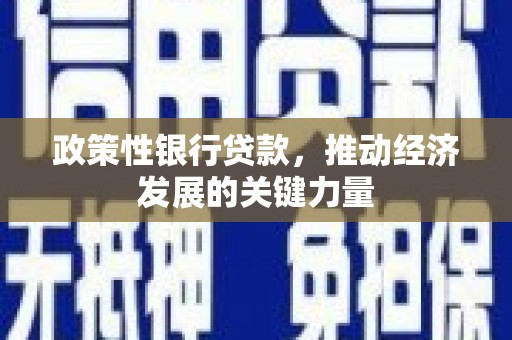 池上政策性银行贷款，推动经济发展的关键力量