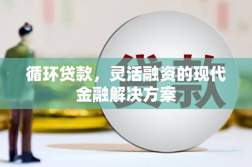 西夏循环贷款，灵活融资的现代金融解决方案