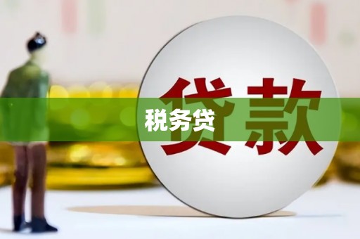 大兴安岭税务贷