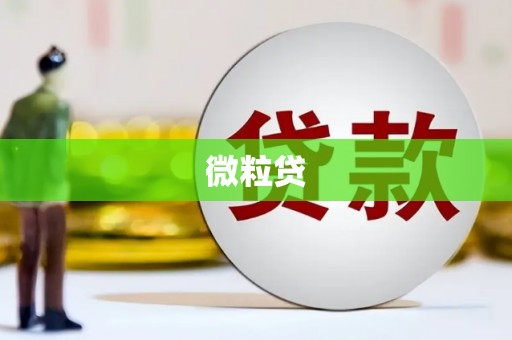 独山微粒贷