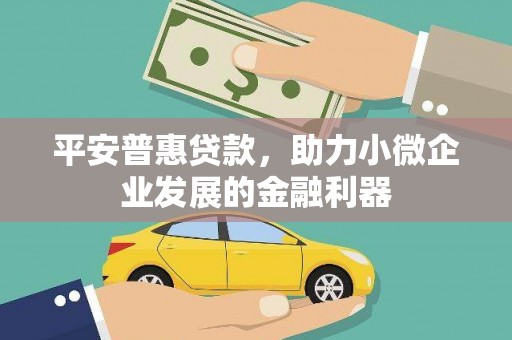 汝南平安普惠贷款，助力小微企业发展的金融利器