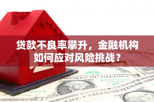 富拉尔基贷款不良率攀升，金融机构如何应对风险挑战？
